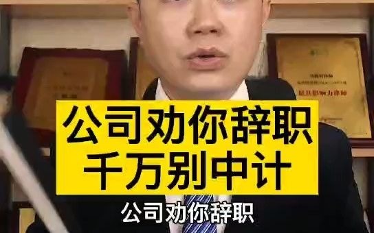 公司劝你辞职千万别中计哔哩哔哩bilibili