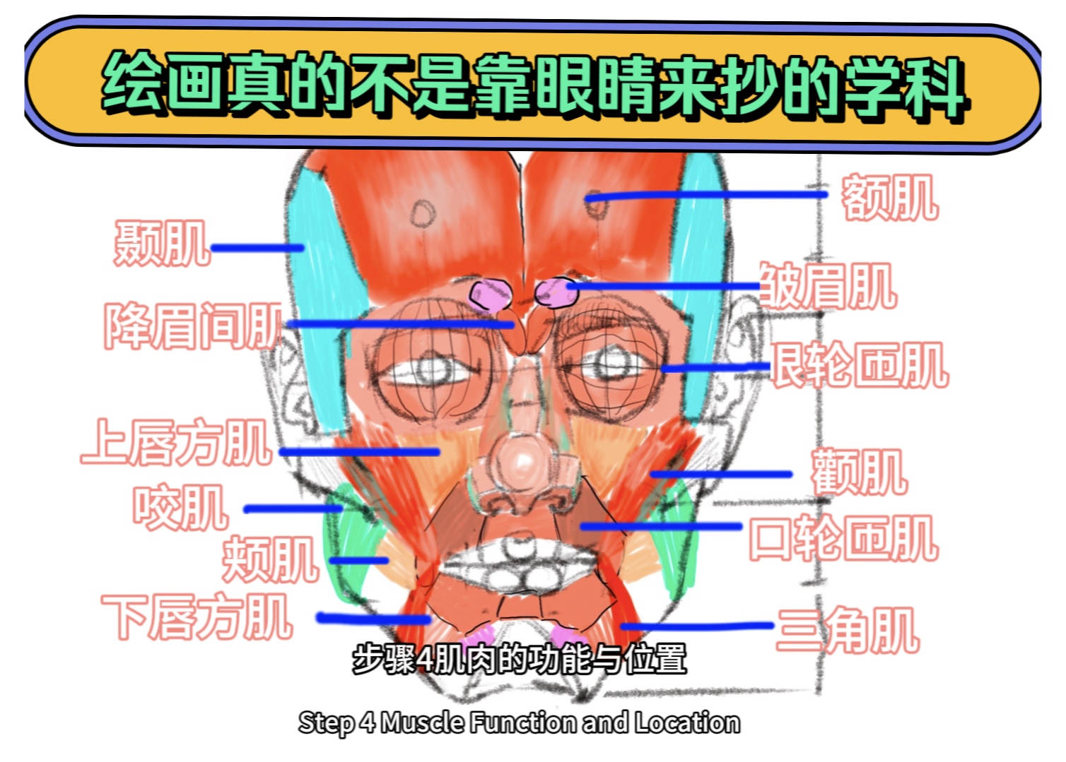 绘画真的不是靠眼睛来抄的一门学科想学习塑造头像,一定要学习头骨解剖,太重要了!这个视频就告诉你为什么头骨解剖能解决你的塑造问题!哔哩哔哩...