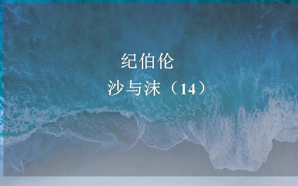 每日夜读day191:纪伯伦 沙与沫(14)哔哩哔哩bilibili