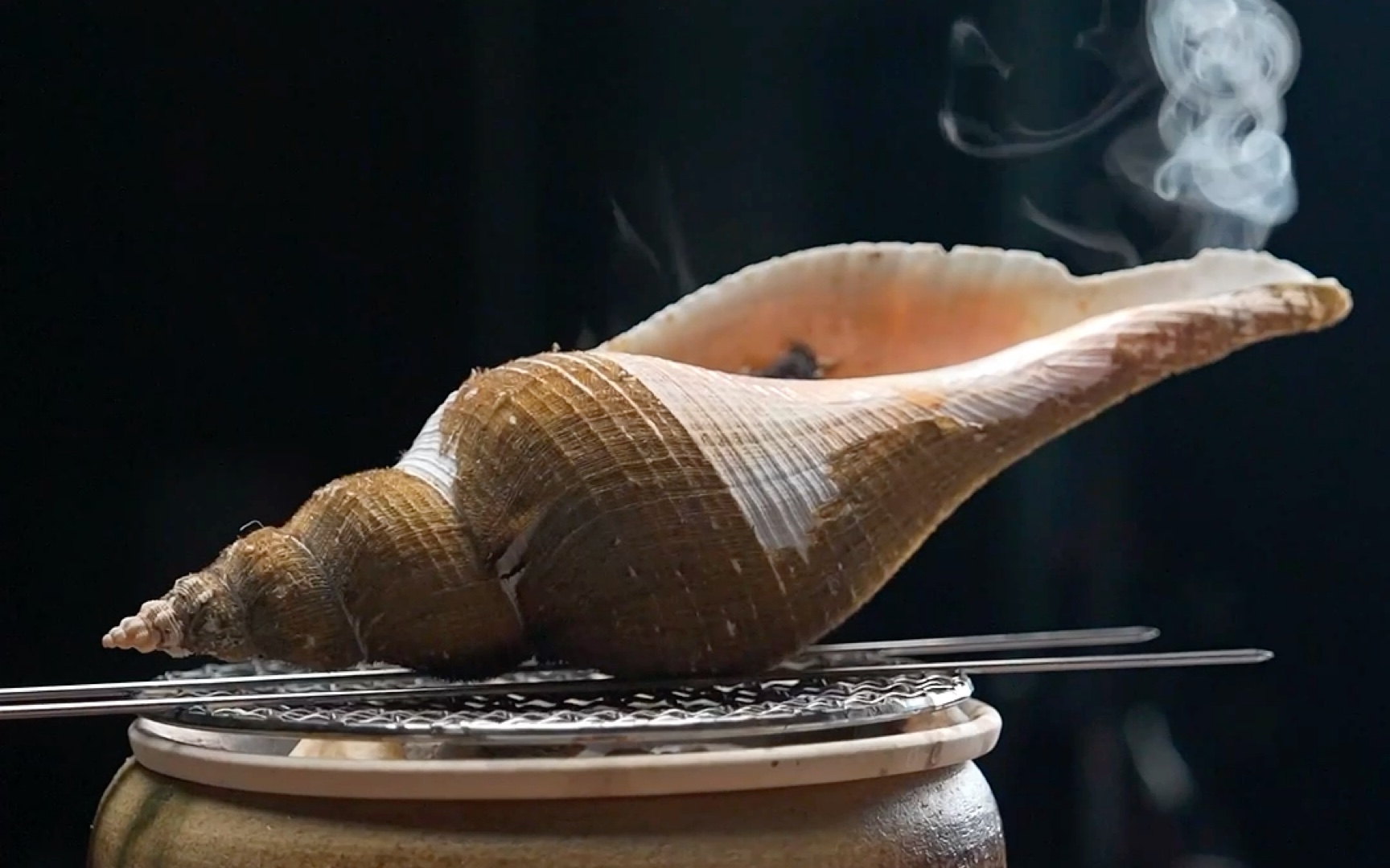美国螺头 螺头 螺肉 螺 冻螺肉 进口海鲜冻品批发-阿里巴巴
