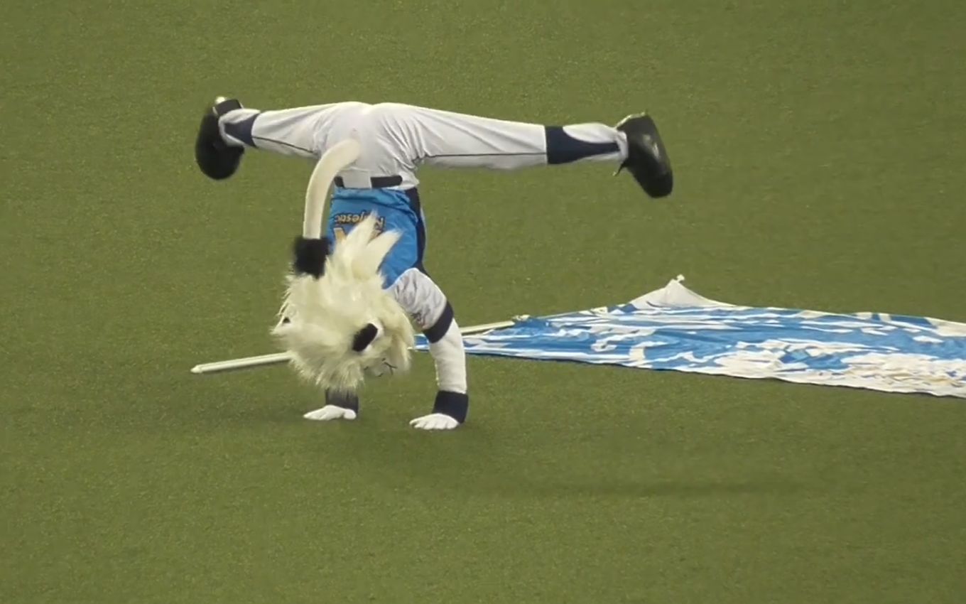 【埼玉西武狮】日常体操狮