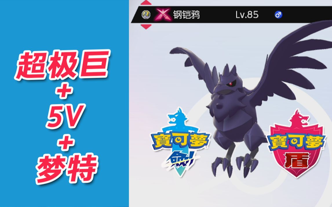 宝可梦剑盾人品爆发抓到超极巨5v梦特钢铠鸦