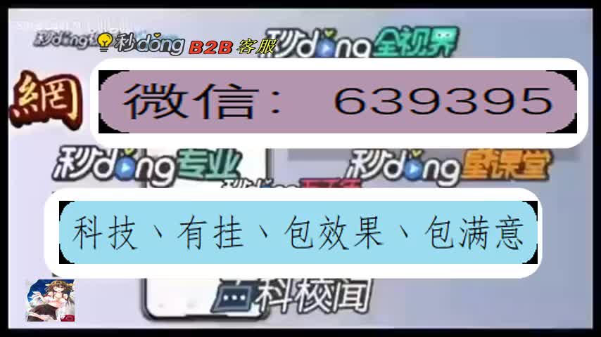 丁二皇辅助透视挂