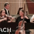 荷兰巴赫协会 - 巴赫 D小调双小提琴协奏曲 Bach Concerto for Double Violins BWV.