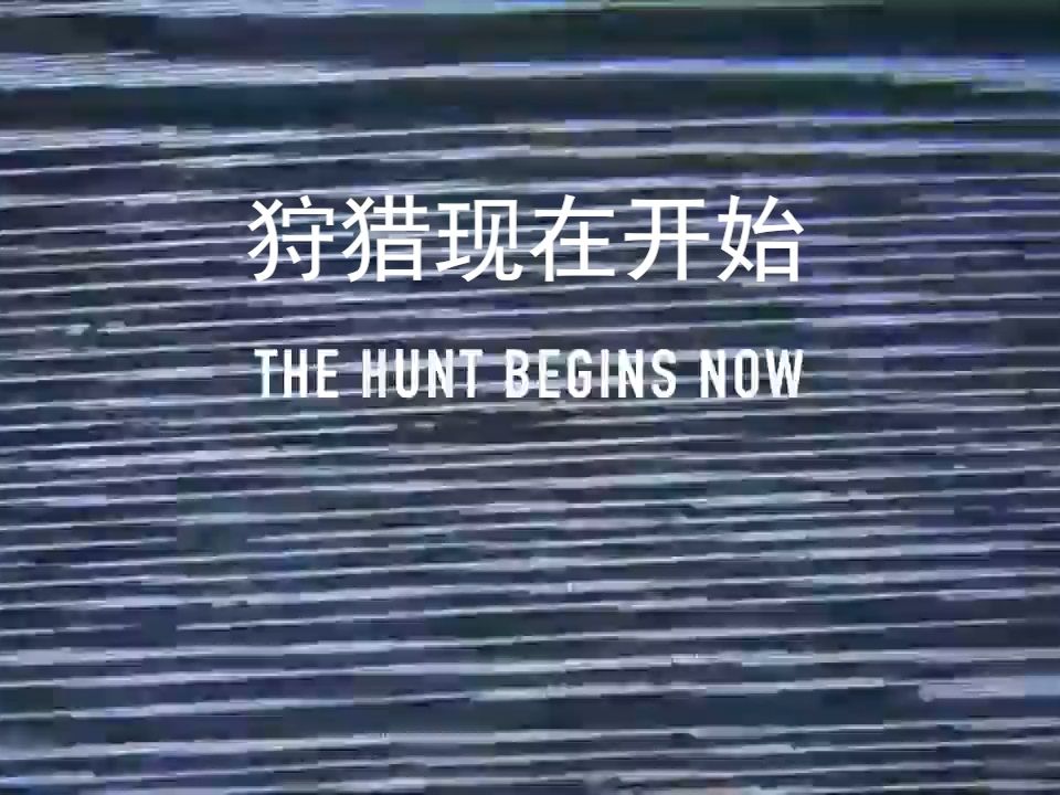 狩猎现在开始.