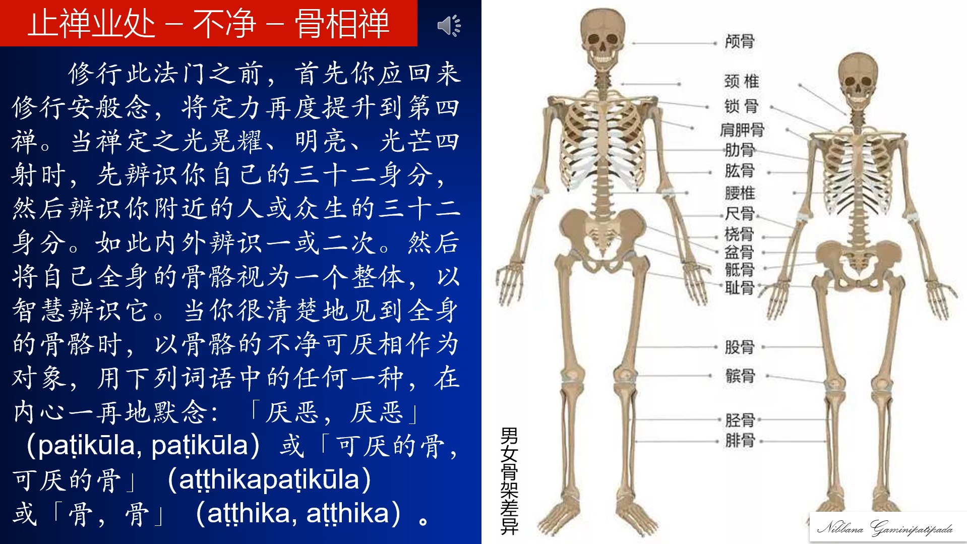 修白骨观对女人图片