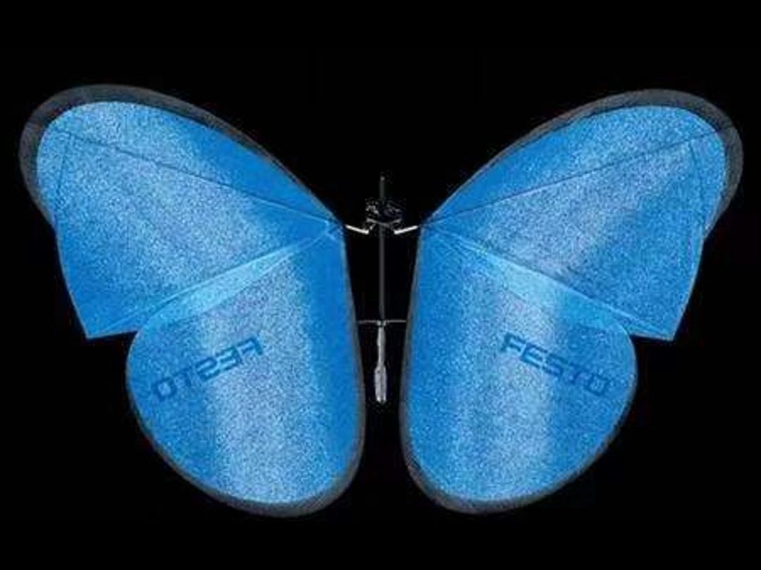 仿生蝴蝶(仿照费斯托设计的翅膀)