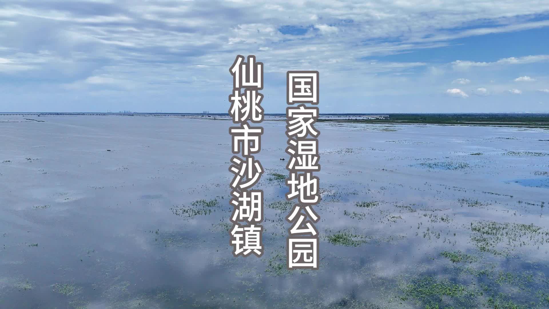 一望无际的中国醉美湿地公园~仙桃市沙湖国家湿地公园(横版)