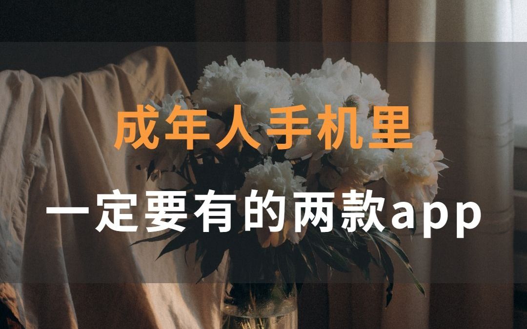 成年人手机里一定要有的两款app,能从上学用到退休哔哩哔哩bilibili