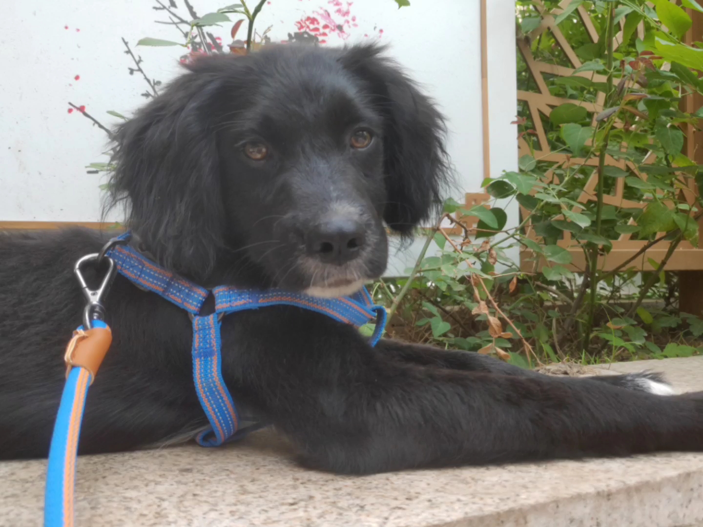 忍不住发我的jimmy仔