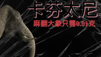 “卡芬太尼”：麻翻大象只需0.01克！