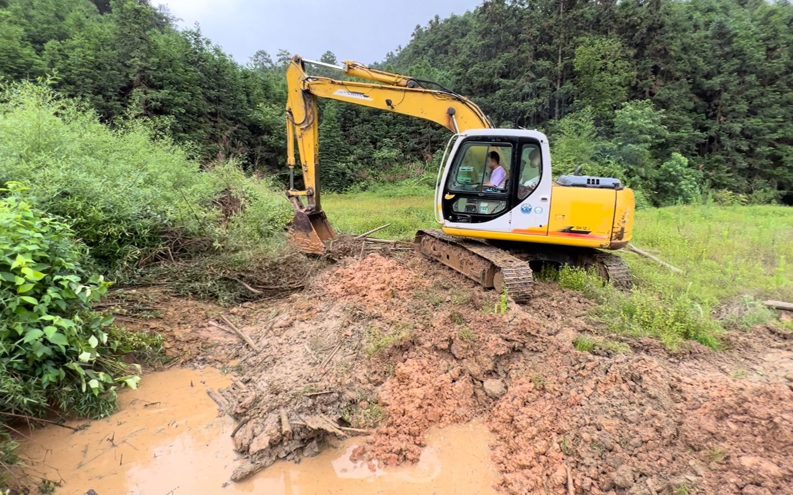 散养土鸡的好地方,今天花1200元请挖机平地,准备扩大养殖规模哔哩哔哩bilibili