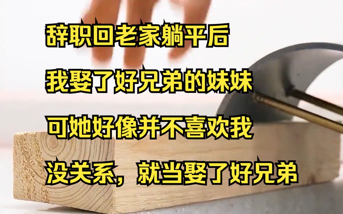 【小说】辞职回老家躺平后,我娶了好兄弟的妹妹,可她好像并不喜欢我,没关系,就当娶了好兄弟哔哩哔哩bilibili