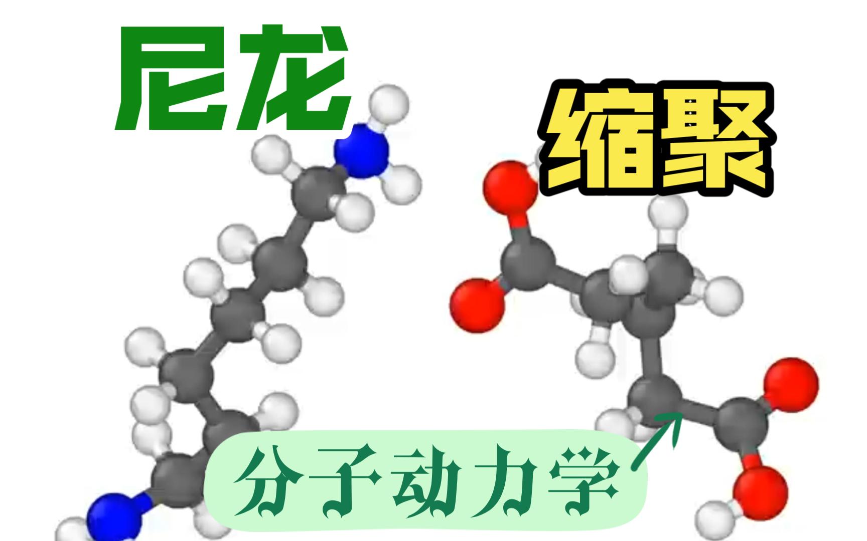 尼龙缩聚交联反应 | LAMMPS 分子动力学 | MS杨站长 华算科技哔哩哔哩bilibili