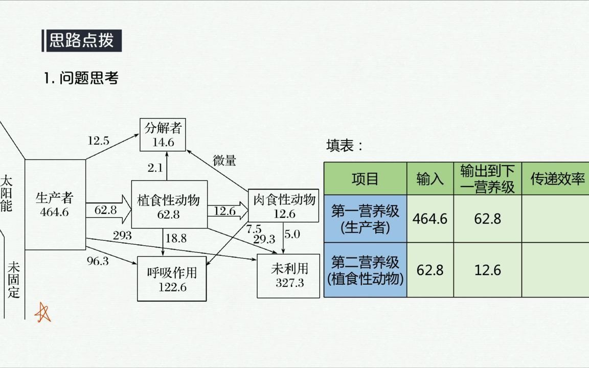 生态系统的能量传递效率计算哔哩哔哩bilibili