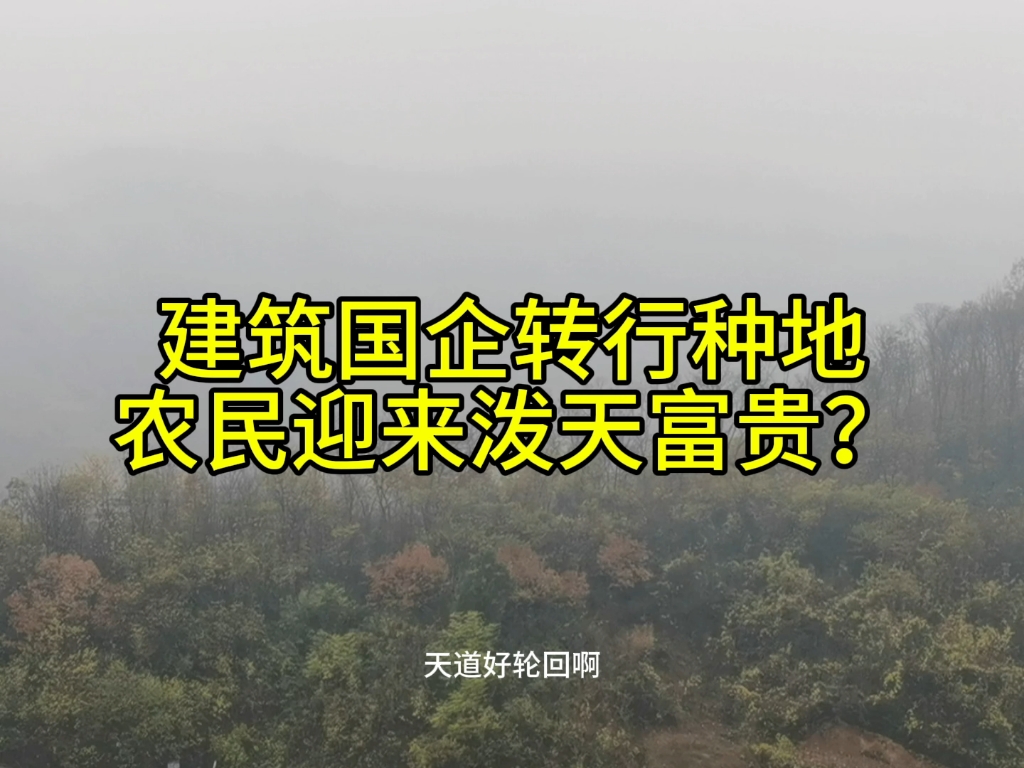 建筑国企转行种地,农民迎来泼天富贵?#中铁十四局 #农业哔哩哔哩bilibili