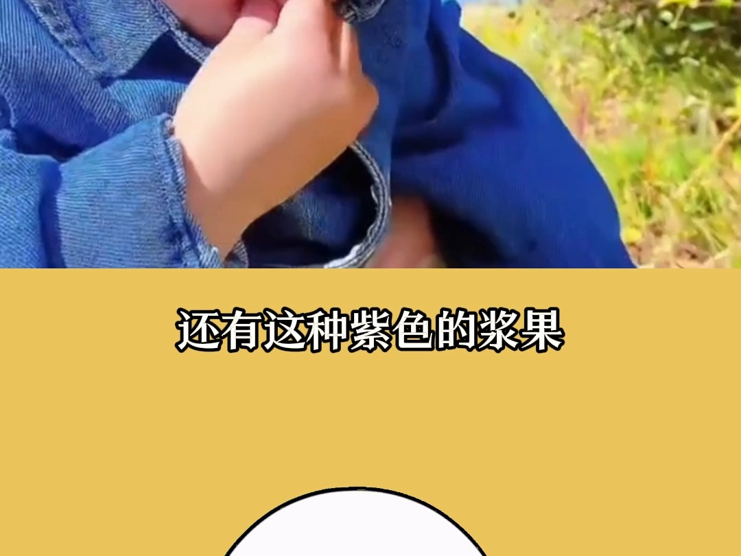 本草纲目哔哩哔哩bilibili