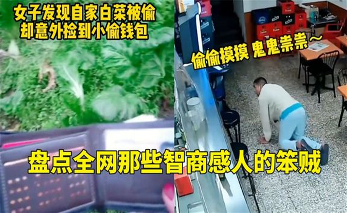 盘点全网那些智商感人的笨贼,偷完东西人出不去,自己报警抓自己哔哩哔哩bilibili