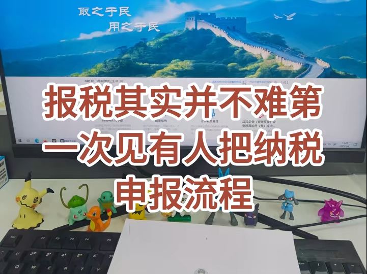 报税其实真不难,第一次见有人把纳税申报整理的这么详细! 不会的照着来就了!哔哩哔哩bilibili