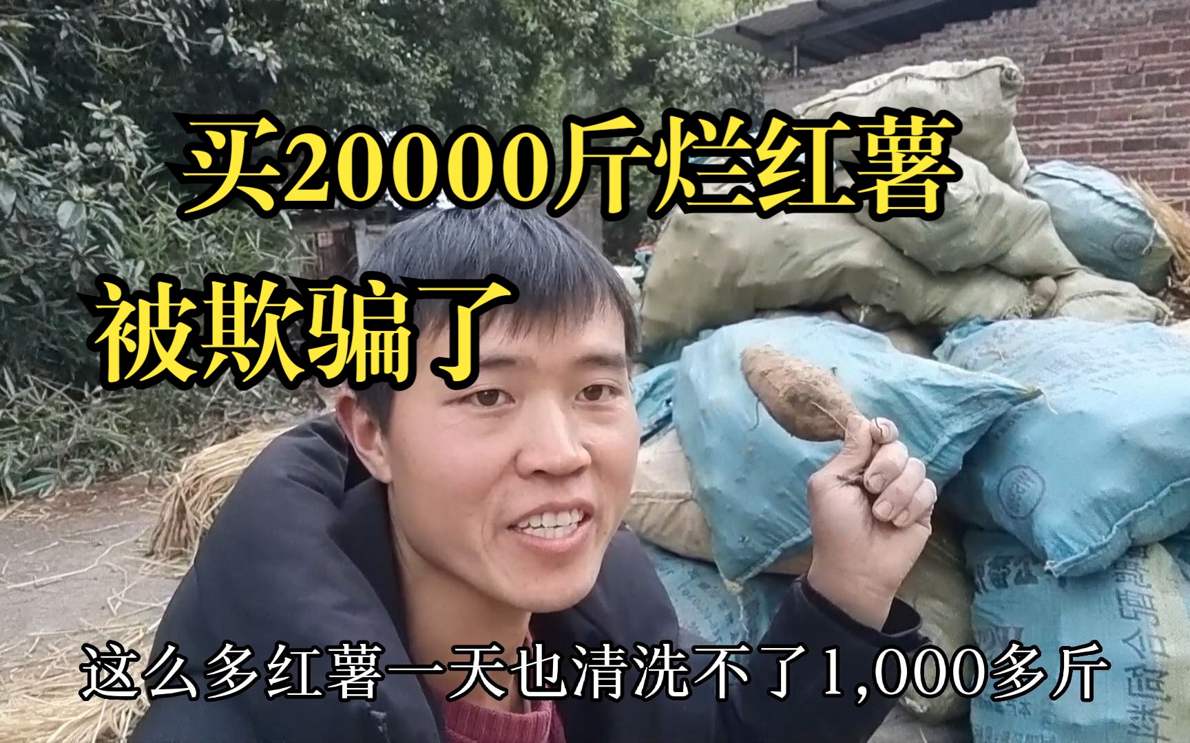 被欺骗了,买20000斤烂红薯哔哩哔哩bilibili