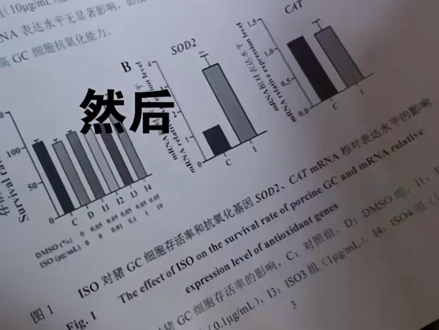 [补档]当朋友拿着他打印好的论文自信满满来找我们看哔哩哔哩bilibili