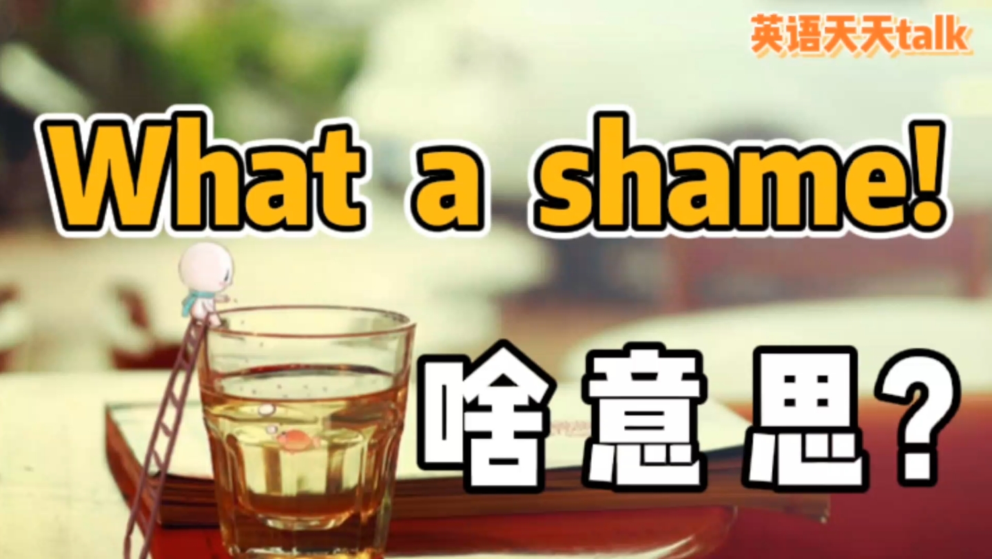 老外对你说what a shame,翻译成“你真无耻”,就让人家笑话了哔哩哔哩bilibili