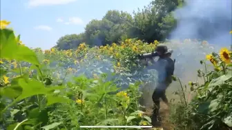 Скачать видео: 俄军对乌进行猛烈的“向日葵攻势