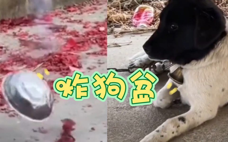 "狗 : 你可真狗啊"