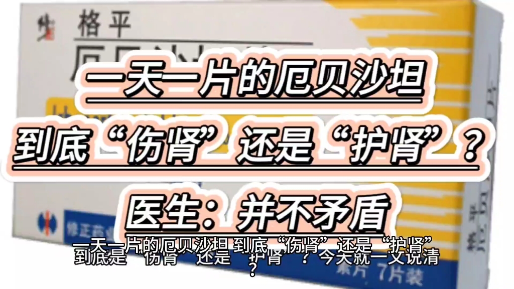 一天一片的厄贝沙坦,到底“伤肾”还是“护肾”?医生:并不矛盾哔哩哔哩bilibili