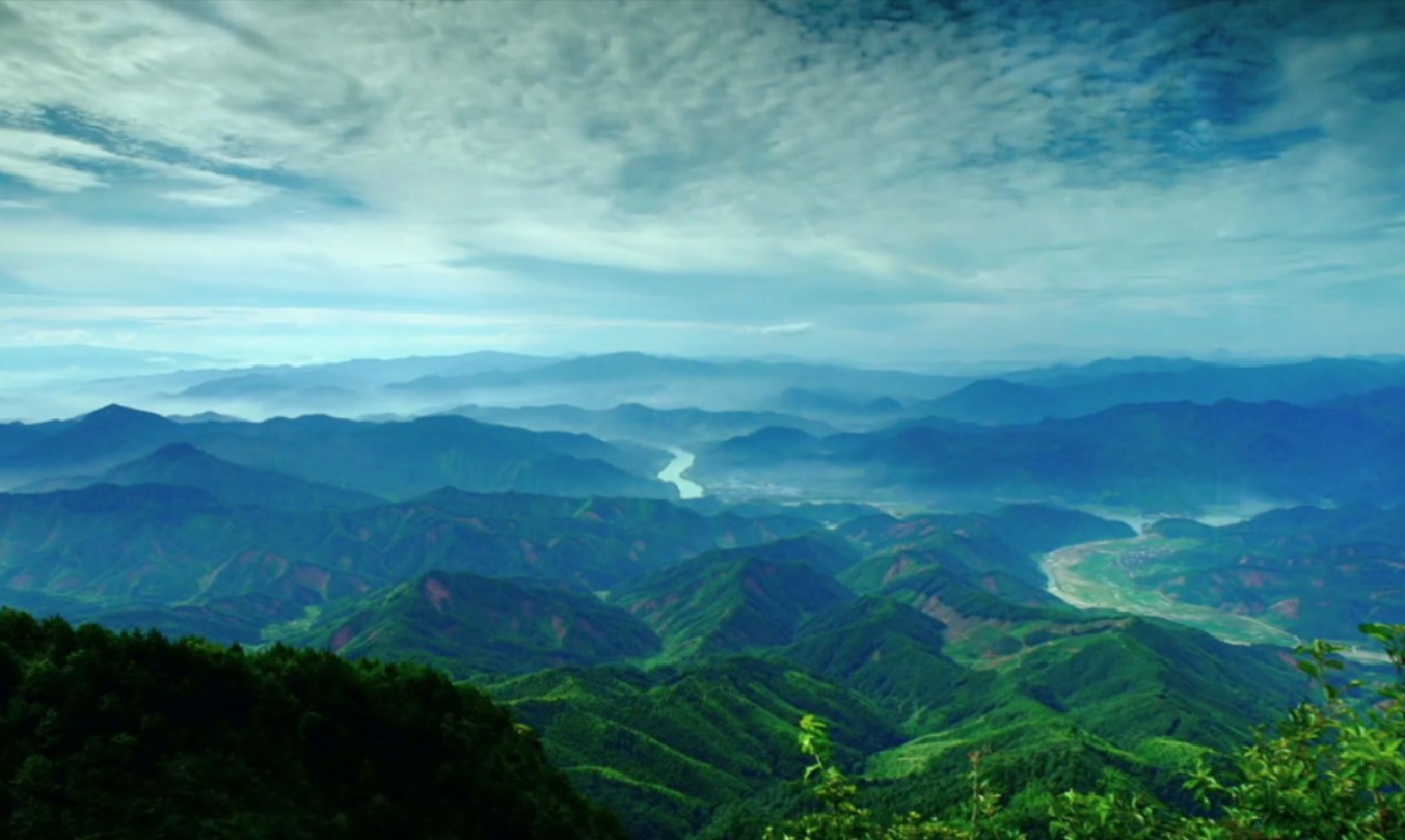 竹海滔滔"金浪"涌---南平市竹产业发展宣传片