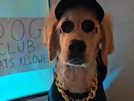 狗子蹦迪俱乐部合集1