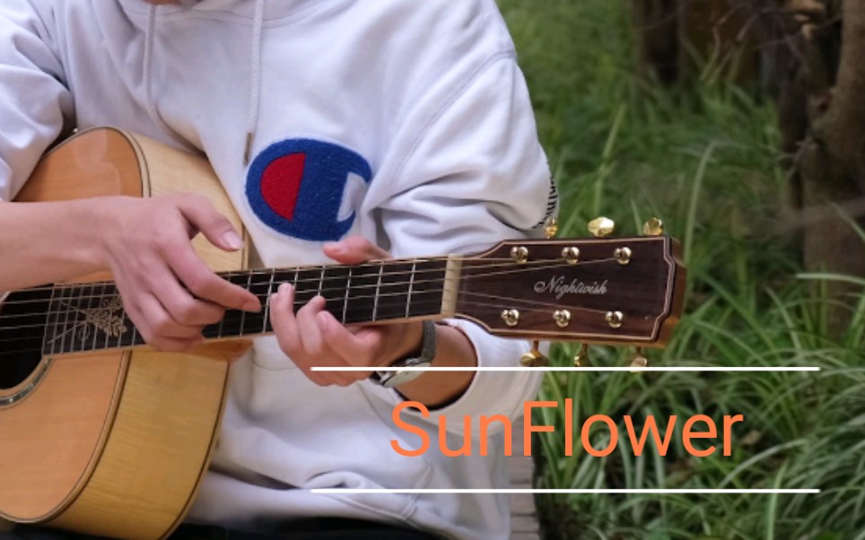 向死而生的sunflower 【cover孫培博】吉他指彈