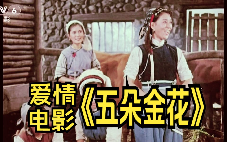 《五朵金花(1959)》国产经典音乐爱情歌舞电影 CCTV6高清彩色老电影豆瓣高分电影完整版在线免费观看哔哩哔哩bilibili