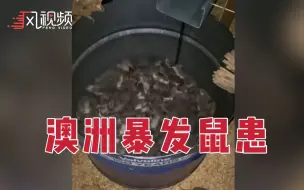 下载视频: 【慎入】鼠如泉涌！澳大利亚一州暴发鼠灾，政府出资5000万美元抗灾