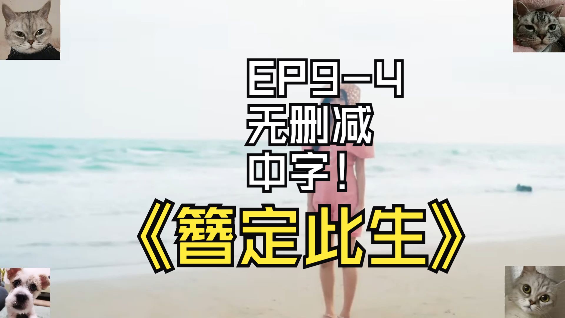 簪定此生EP94无删减中字哔哩哔哩bilibili