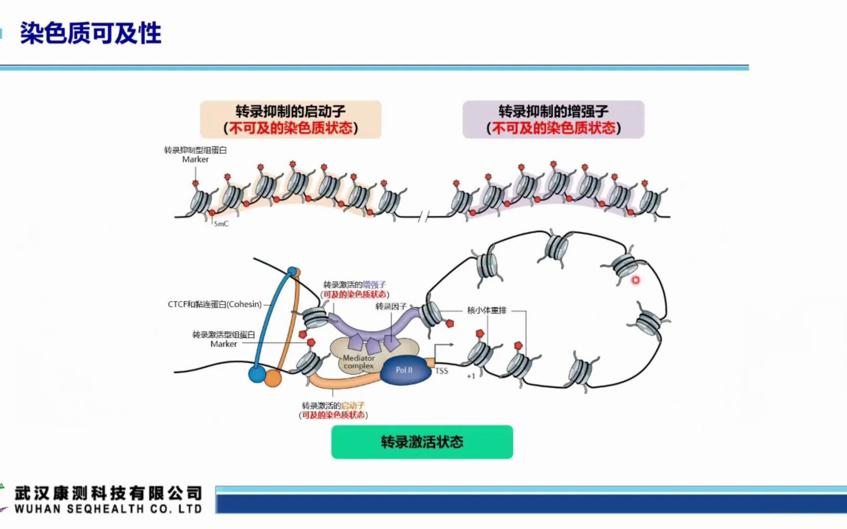 ATACseq 讲解哔哩哔哩bilibili