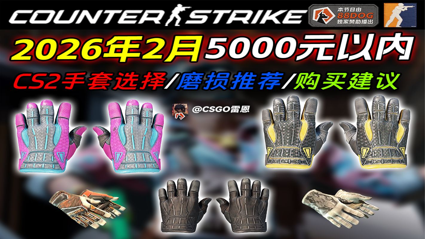 【CS2】5000元以内的CS2手套推荐!(2026年2月)-CSGO雷恩-CSGO雷恩-哔哩哔哩视频