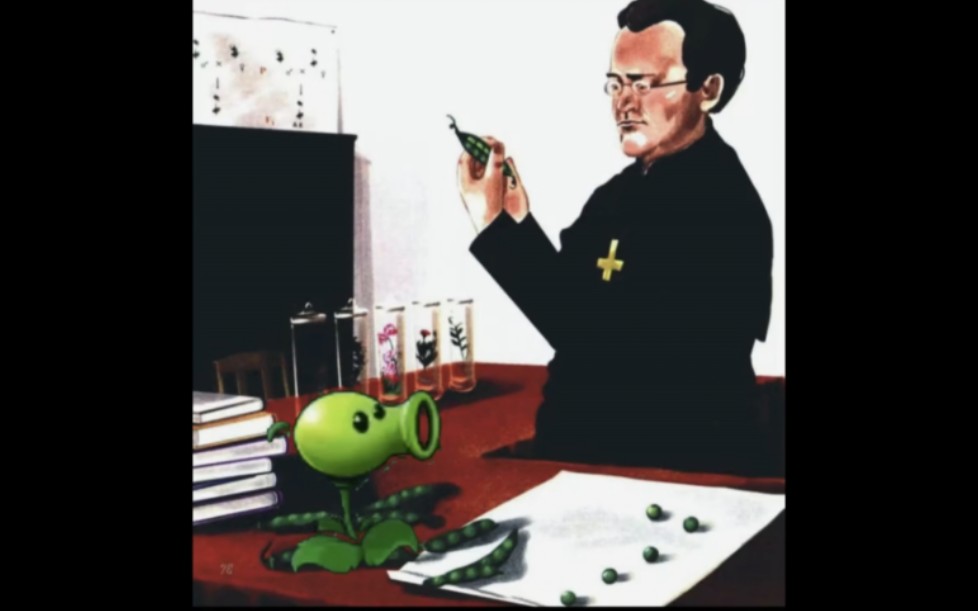 孟德尔:领会我和豌豆的组合技吧