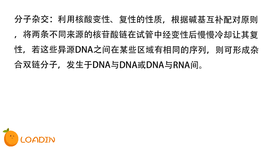 【生化】名词解释(12)内含子、基因扩增、粘性末端、分子伴侣、分子杂交哔哩哔哩bilibili