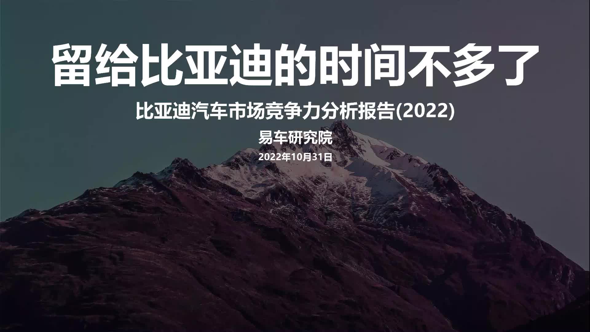 2022比亚迪汽车市场竞争力分析报告哔哩哔哩bilibili