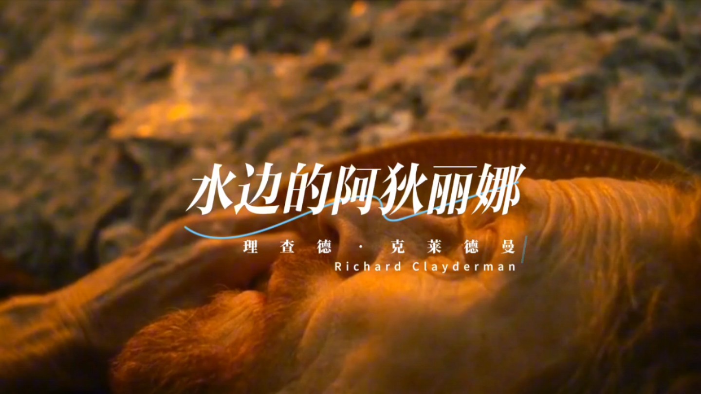 《水边的阿狄丽娜》经典钢琴曲 完美音画情