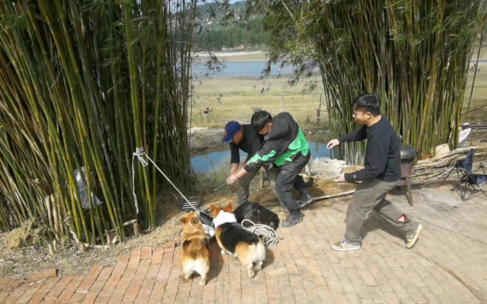 坏人回村祸害了哔哩哔哩bilibili