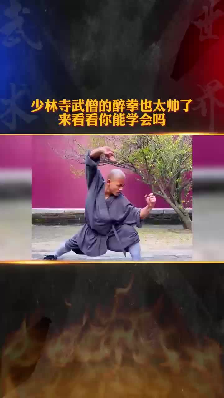 少林寺武僧的醉拳也太帅了 来看看你能学会吗哔哩哔哩bilibili