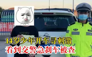 Download Video: 14岁少年为寻刺激开车上路：看到交警急刹车，被查谎称忘带驾照