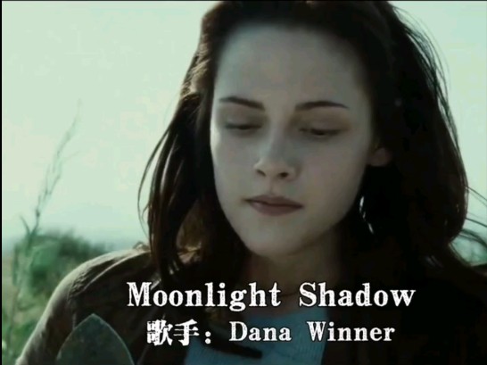 [图]比利时女歌手丹娜·云妮 (Dana Winner) 演唱《Moonlight Shadow 月光下的影子》。