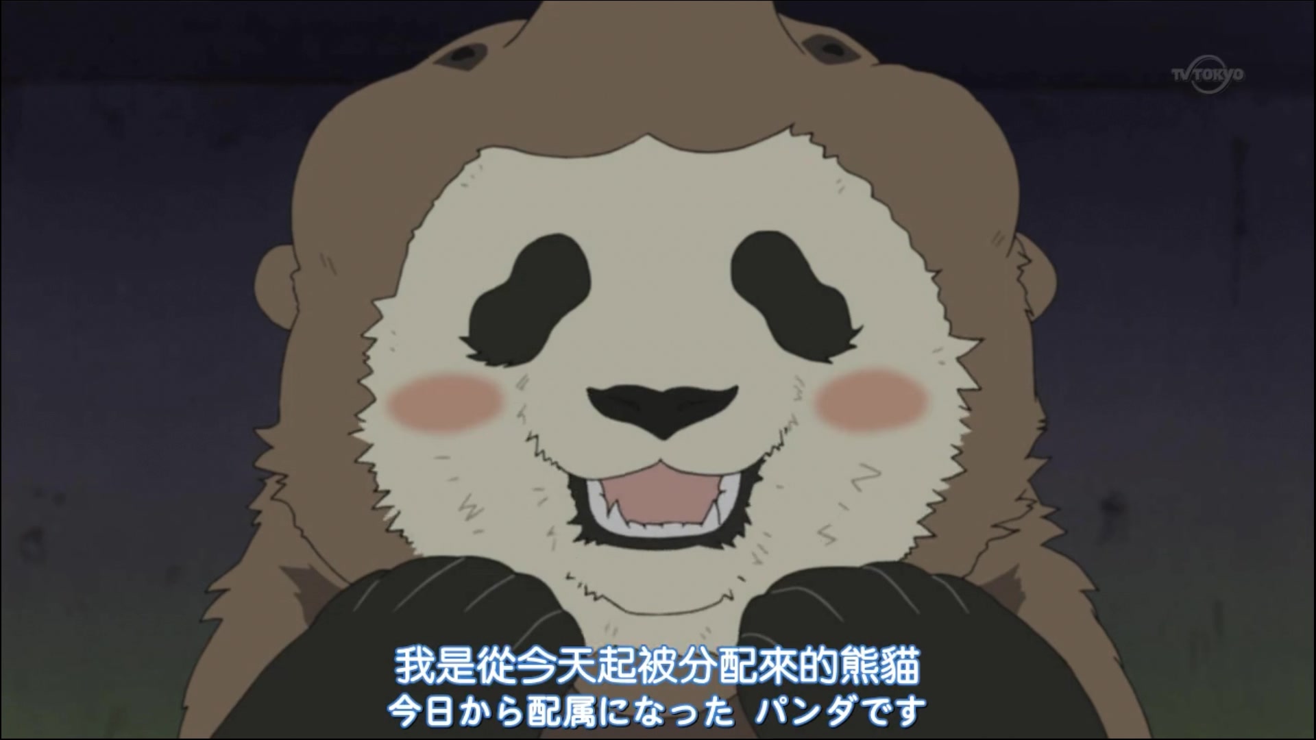 白熊咖啡厅胖达不想当熊猫了