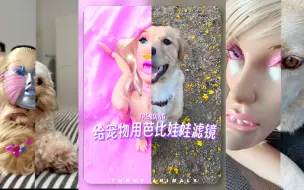 Tải video: 这是在干什么⁉️请不要给宠物用芭比滤镜😳