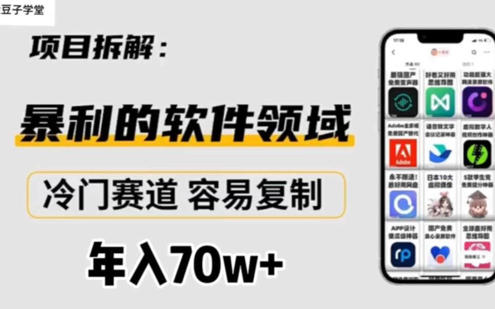 暴利的软件领域,冷门赛道,容易复制,年入70w+哔哩哔哩bilibili