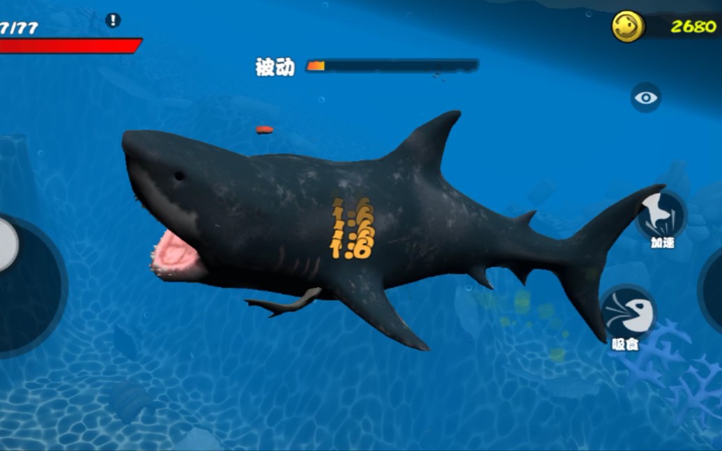 海底大猎杀:一条小小的锤头鲨把大白鲨折磨得痛苦不堪