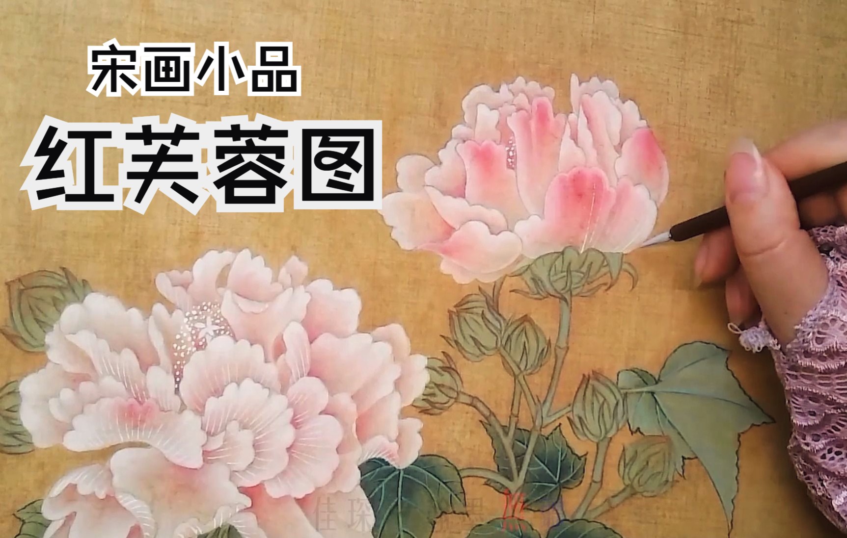 [图]【工笔画】分享临摹宋画小品《红芙蓉图》白描，设色的绘画步骤，工笔芙蓉花绘制过程！